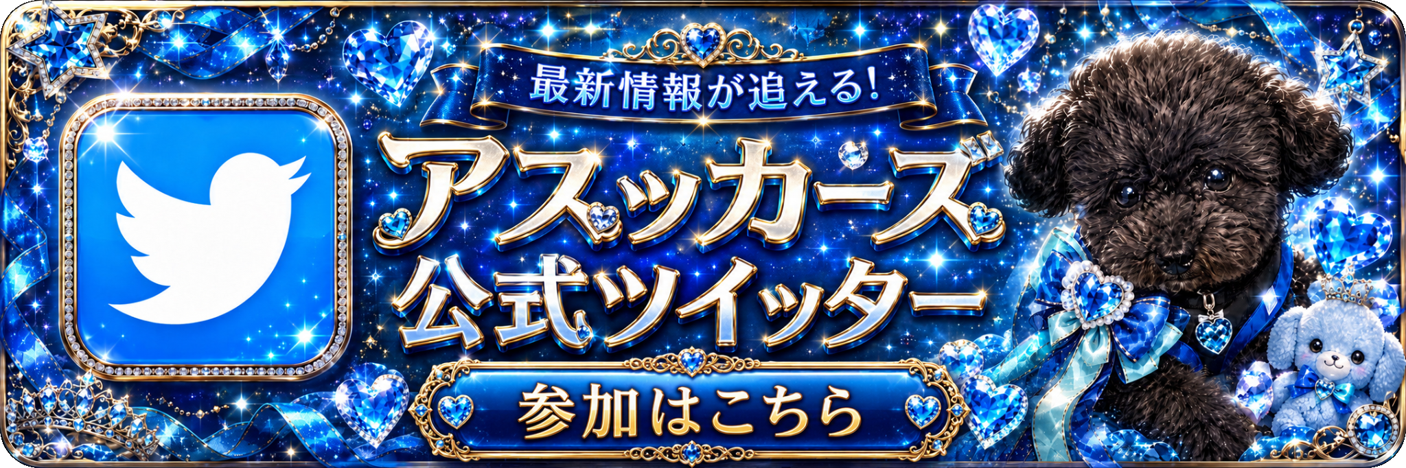 公式X